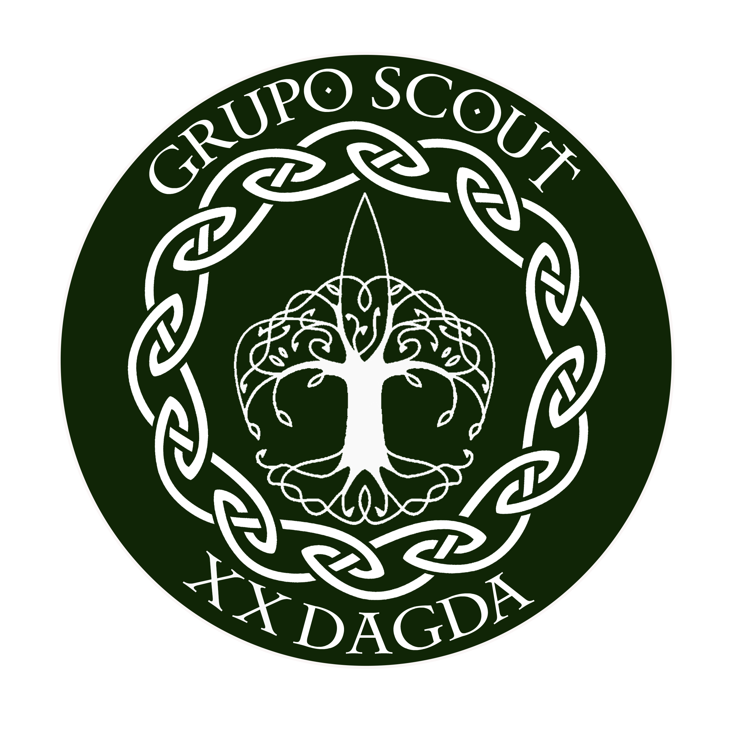 Grupo scout 20 dagda